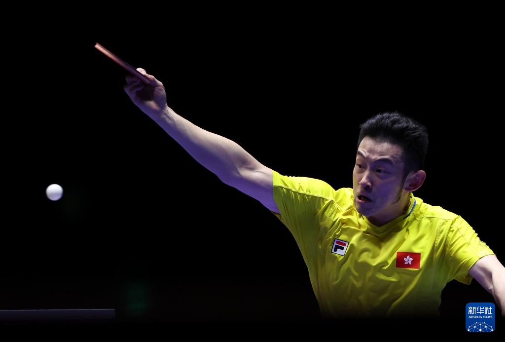 信息闭环 信息闭环